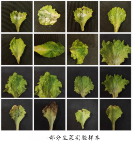 1745829262844336.png image.png