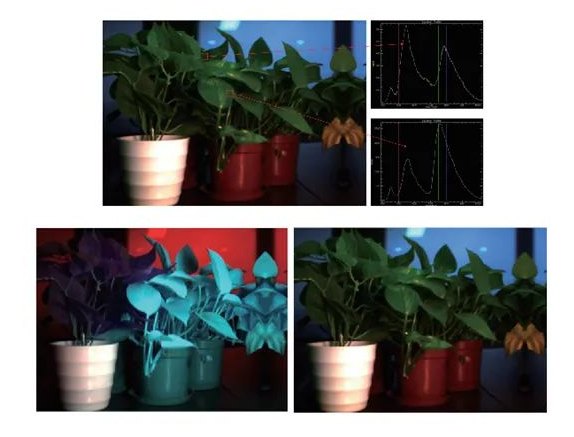 线推扫式高光谱相机真假绿植识别