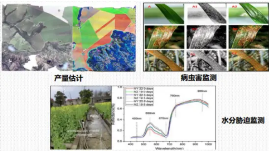 高光谱成像技术的行业应用