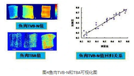 高光谱成像技术的行业应用3