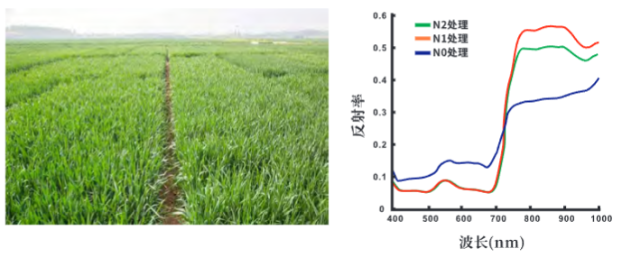 SF500无人机高光谱成像系统的行业应用及案例11