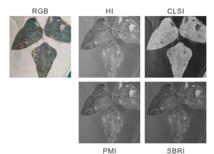 SF500无人机高光谱成像系统的行业应用及案例12