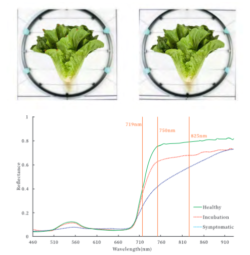 SF500无人机高光谱成像系统的行业应用及案例13