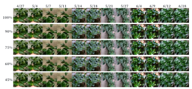 SF500无人机高光谱成像系统的行业应用及案例14