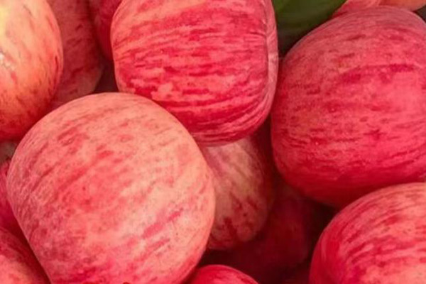 高光谱成像仪用于苹果内外品质无损检测