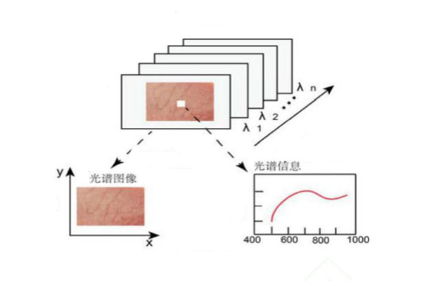 高光谱数据特征波长的提取选择方法有哪些？