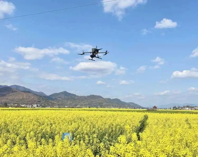 高光谱无人机赋能农业:油菜精准诊断新方案